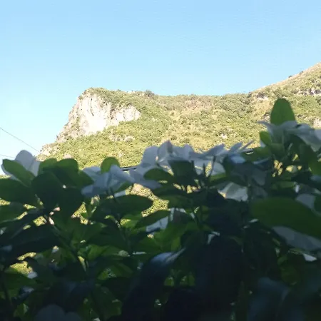 San Nilo Orsomarso